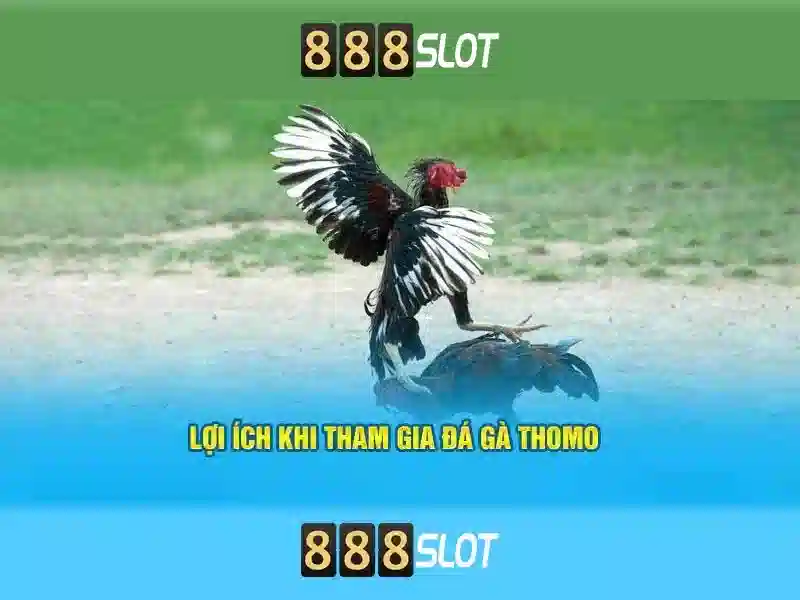 An toàn và thanh toán
