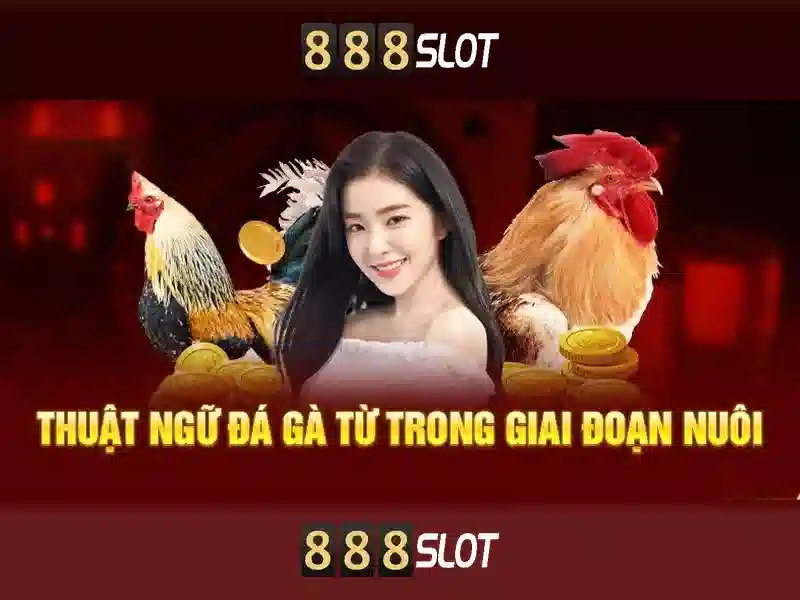 Giao diện và trải nghiệm người dùng