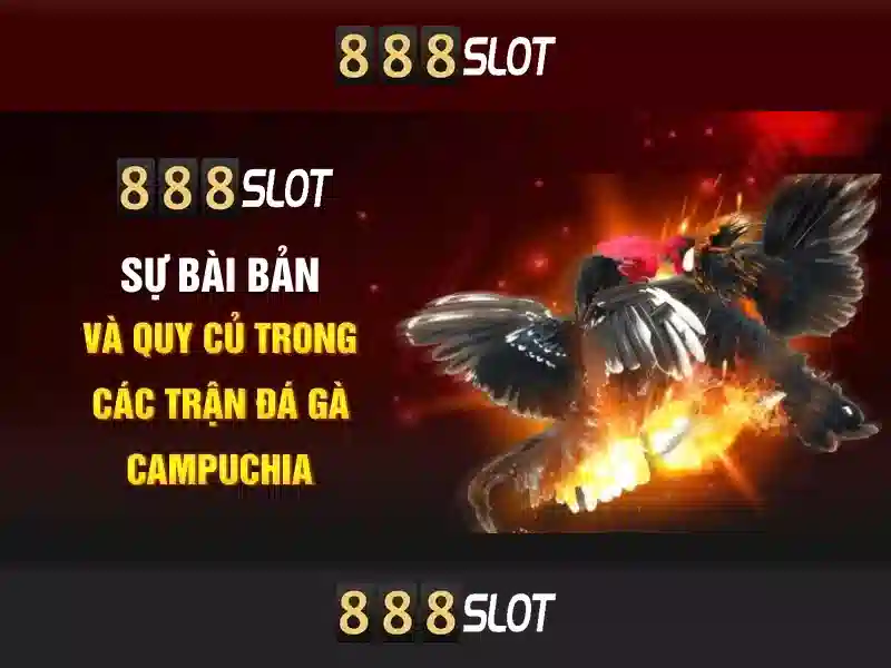 An toàn và thanh toán