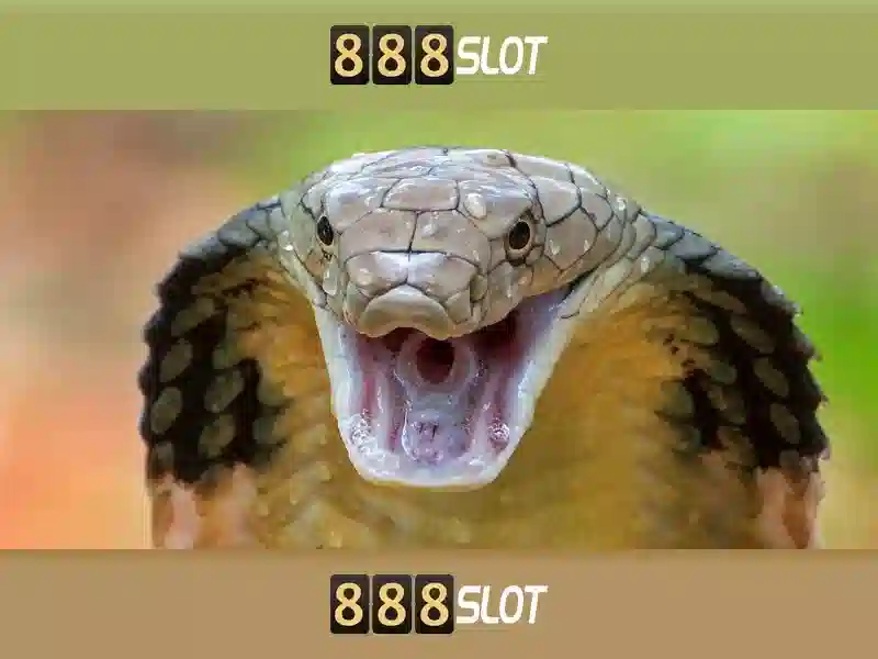 Dòng slot đa dạng và thưởng thiết thực