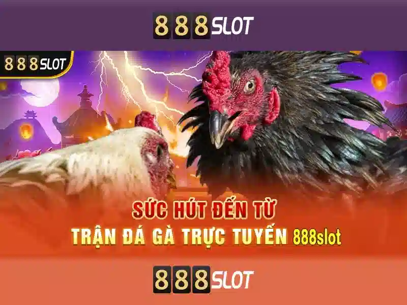 Tính năng và trải nghiệm người dùng