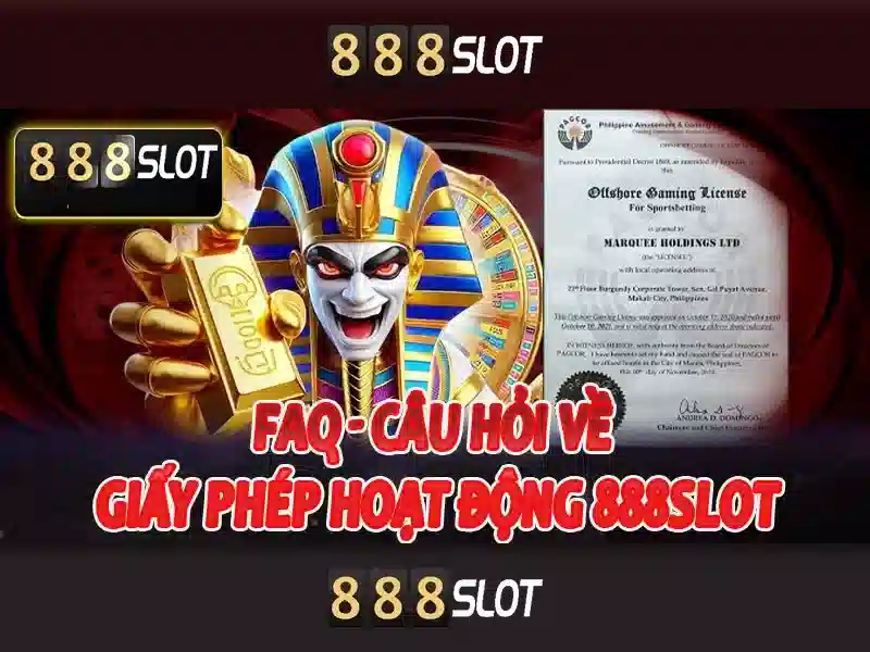 Trải nghiệm người dùng