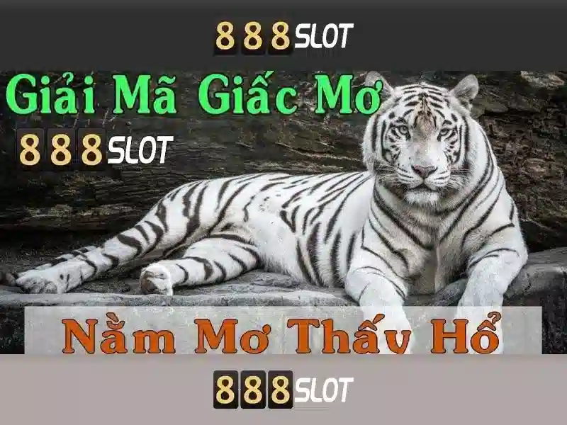 Tiện ích và trải nghiệm người dùng