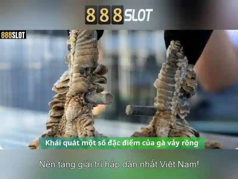 baccarat 888slot