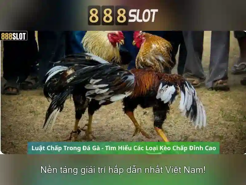 Trải nghiệm AR/VR trong 5G