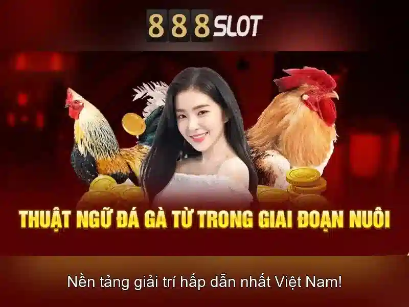 Giới thiệu về 888slot