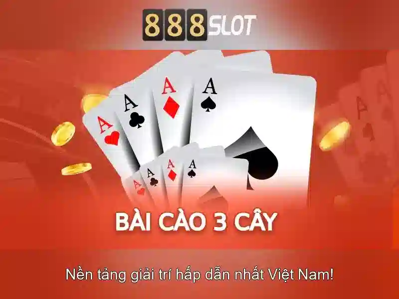 Tính an toàn và hỗ trợ khách hàng