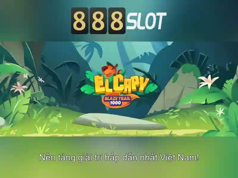 Khuyến mãi và chương trình thưởng