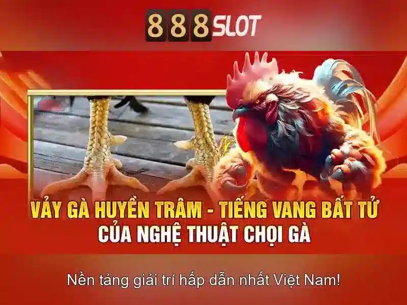 Giao diện cược thể thao và live betting
