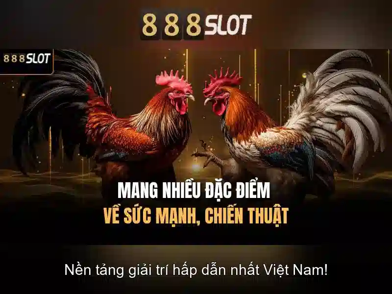 baccarat 888slot