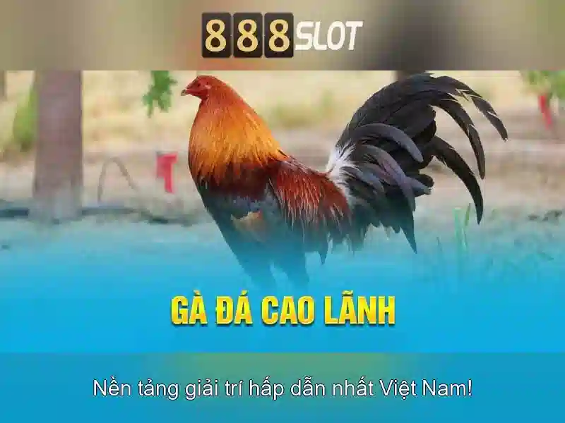 Bảo mật và thanh toán