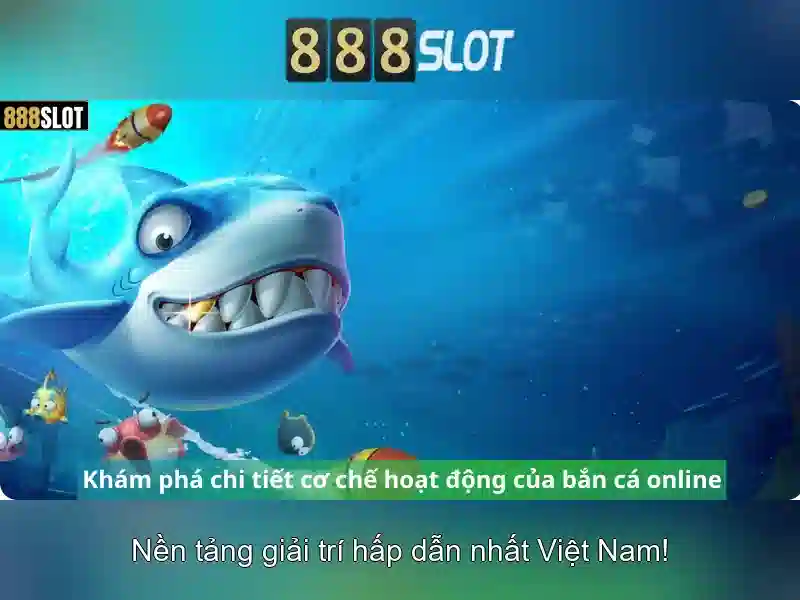 Trải nghiệm người dùng và khuyến mãi